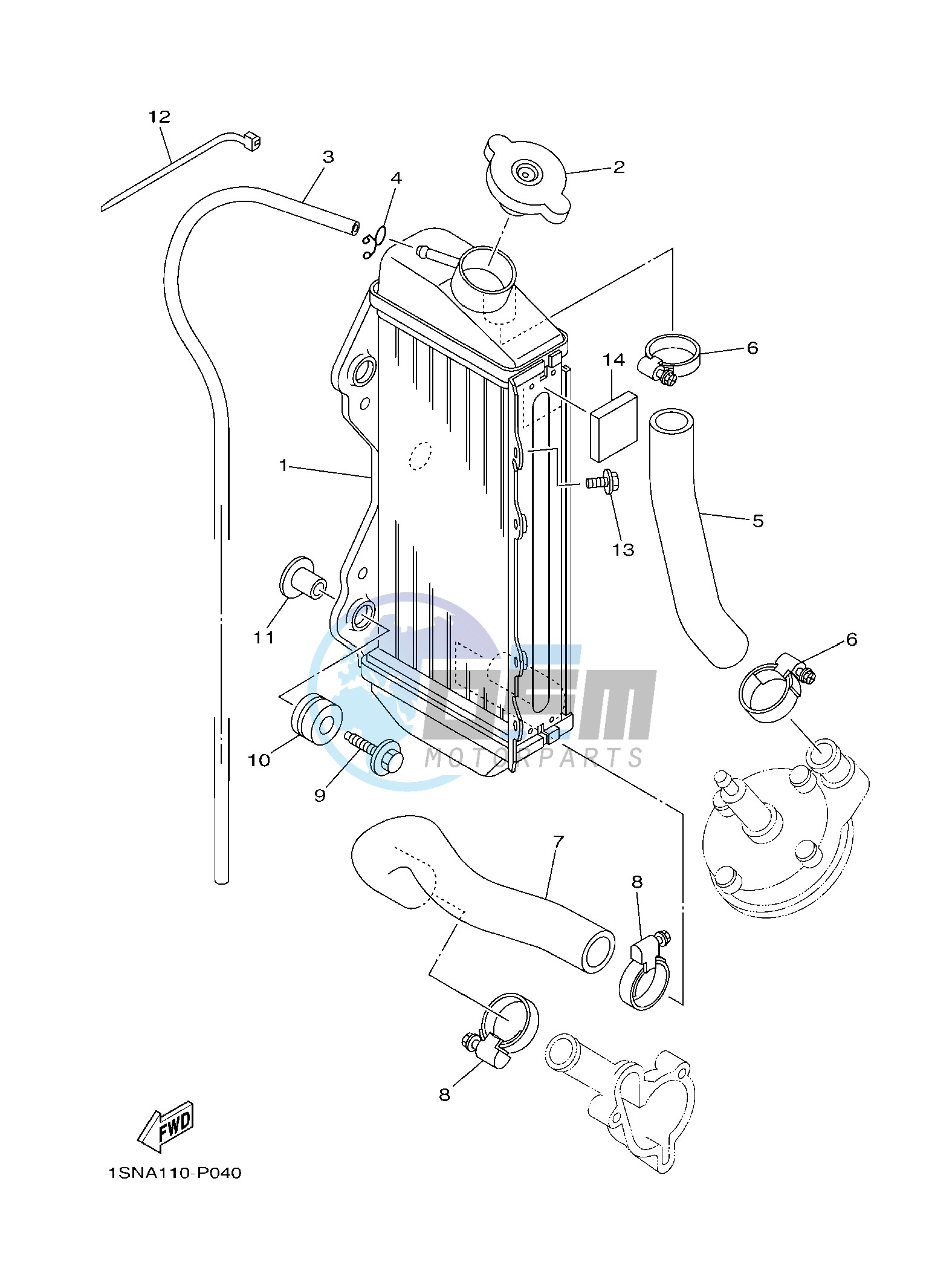 RADIATOR & HOSE