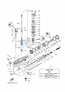 E60HMHD drawing PROPELLER-HOUSING-AND-TRANSMISSION-1