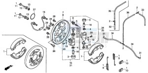 TRX350TM RANCHER S drawing FRONT BRAKE PANEL