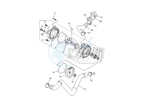 YFM RR RAPTOR 660 drawing WATER PUMP