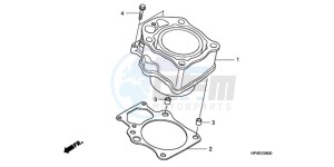 TRX420FEA Australia - (U / 2U 4WD) drawing CYLINDER