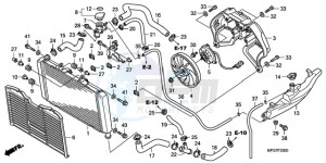 CB600F9 Spain - (SP) drawing RADIATOR