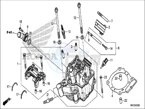 CRF450RXH Europe Direct - (ED) drawing CYLINDER HEAD