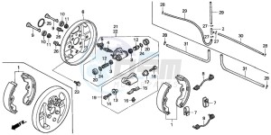 TRX300 FOURTRAX 300 drawing FRONT BRAKE PANEL