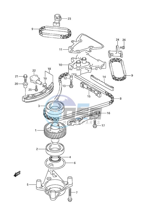 Timing Chain (DF 250S)