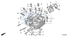 TRX400XC drawing CYLINDER HEAD