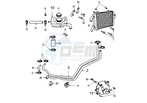 X–FIGHT - 50 cc drawing COOLING SYSTEM-LIQUID COOLED