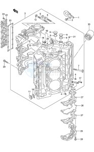 DF 250AP drawing Cylinder Block