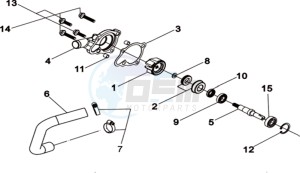 WOLF 300 (L8) EU EURO4 drawing WATER PUMP