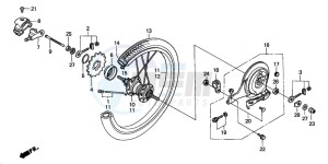 PAC16A2 RACOON drawing REAR WHEEL