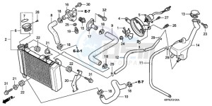 CBR125RW9 France - (F / CMF) drawing RADIATOR (CBR125RW7/RW9/RWA)