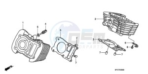 XL125VA EU / CMF - (EU / CMF) drawing CYLINDER