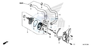 CBR650F 2ED - (2ED) drawing WATER PUMP