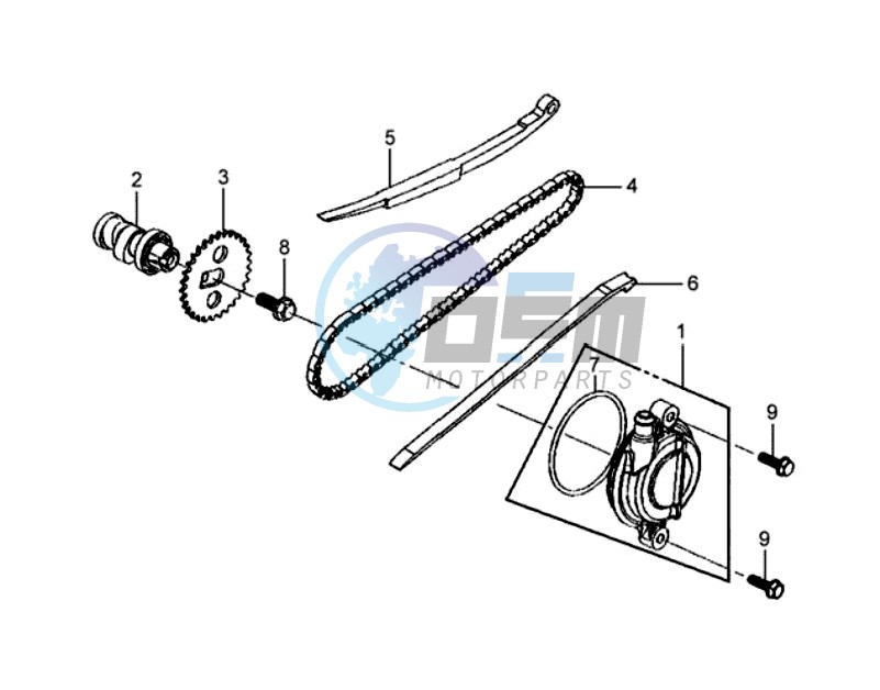 CHAIN / CHAIN TENSIONER  / CHAIN GUIDE