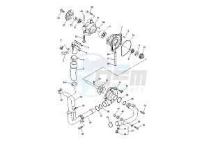 YZF-R1S 1000 drawing WATER PUMP