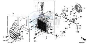 NSS125DF Forza 125 - NSS125D Europe Direct - (ED) drawing RADIATOR