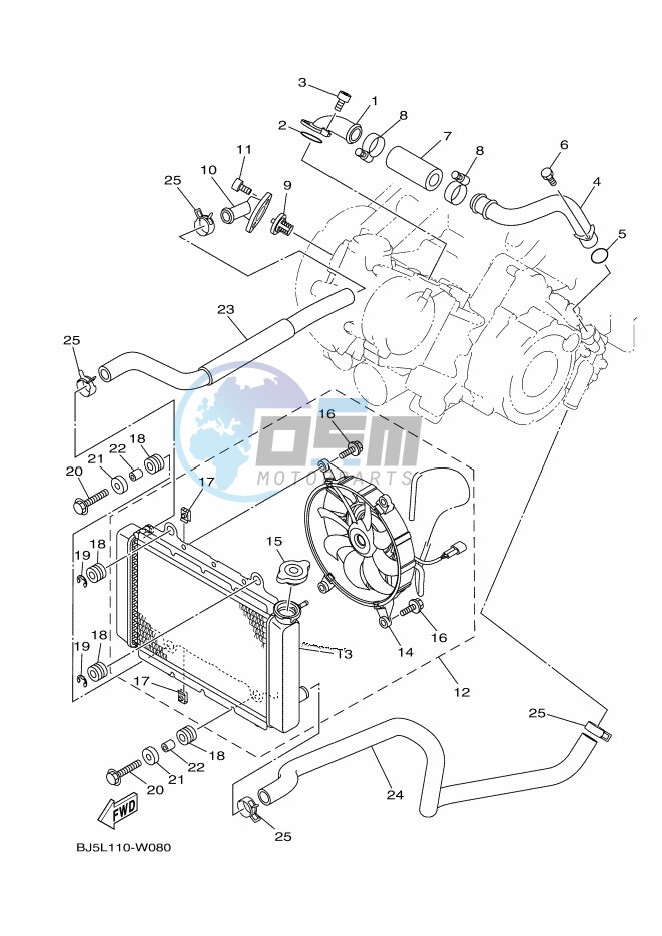 RADIATOR & HOSE