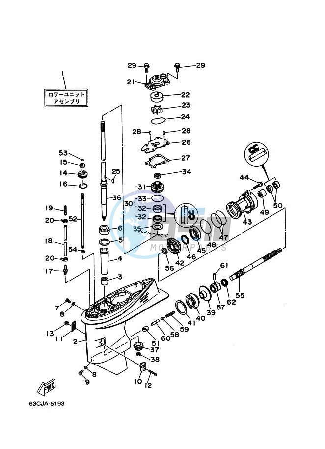 LOWER-CASING-x-DRIVE