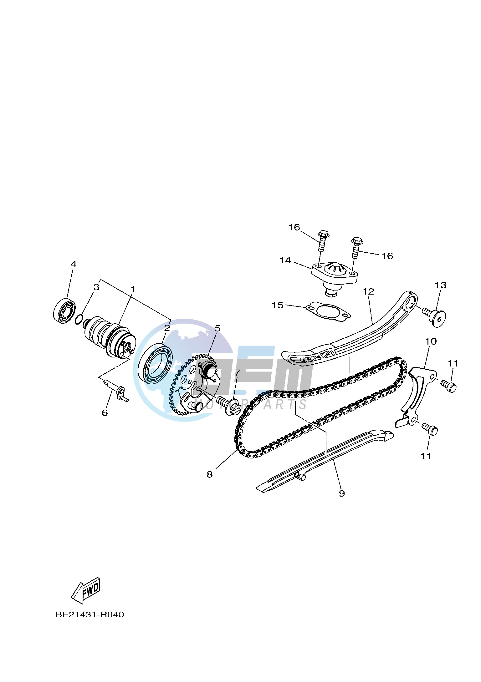 CAMSHAFT & CHAIN