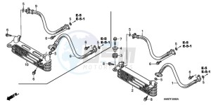 TRX250TM9 Australia - (U) drawing OIL COOLER