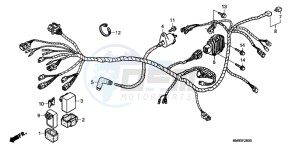 TRX250TMB drawing WIRE HARNESS (TRX250TM)