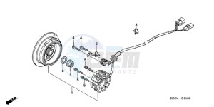 CRF250X9 Australia - (U) drawing GENERATOR