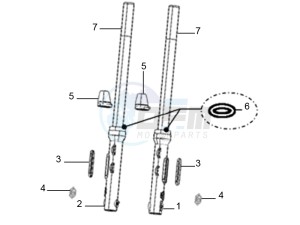 STX 150 drawing Front shock absorber