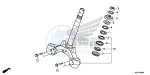 AFS110CSFF CB1000R 2ED - (2ED) drawing STEERING STEM