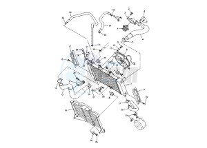 FZ6-S FAZER 600 drawing RADIATOR- HOSE