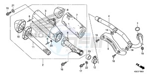 CRF150RBD CRF150RB Europe Direct - (ED) drawing EXHAUST MUFFLER