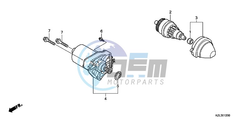 STARTING MOTOR (1)