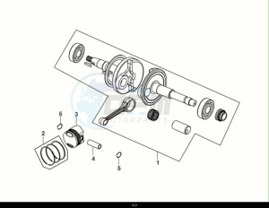 FIDDLE II 50 (AF05W5-NL) (E5) (M1) drawing CRANK SHAFT