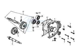 SUPER DUKE - 125 cc drawing GEAR GROUP