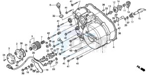 TRX300FW FOURTRAX drawing RIGHT CRANKCASE COVER