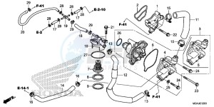 VFR1200XD Europe Direct - (ED) drawing WATER PUMP