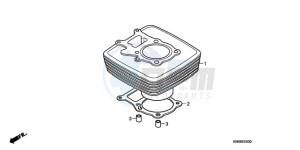 TRX250X9 Australia - (U) drawing CYLINDER