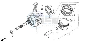 TRX250EX SPORTRAX 250 EX drawing CRANKSHAFT/PISTON