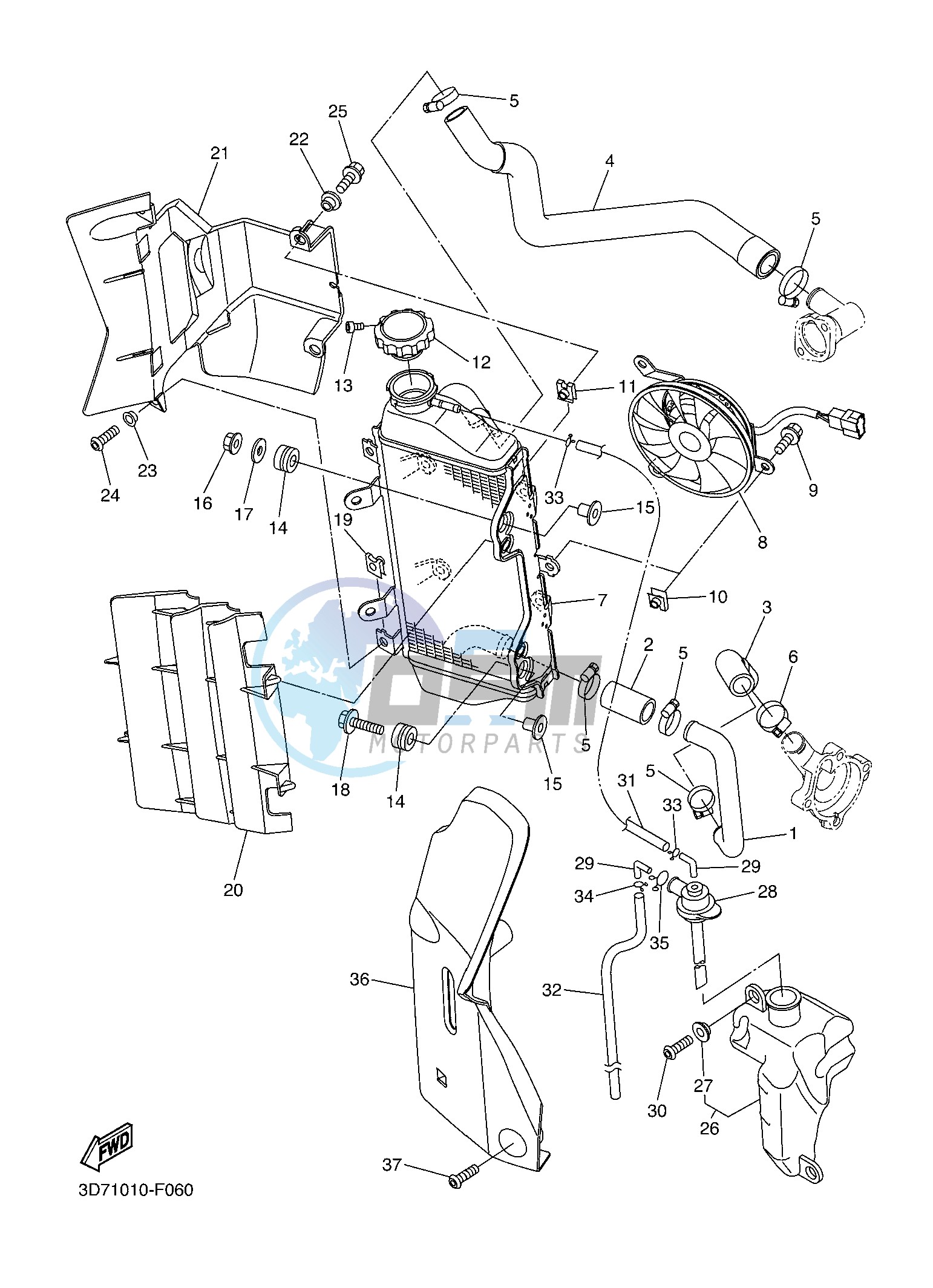 RADIATOR & HOSE