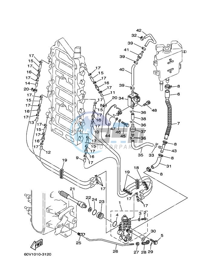 OIL-PUMP