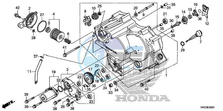 FRONT CRANKCASE COVER (TRX420FE1/FM1/FM2/TE1/TM1)