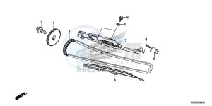 NC700SAC drawing CAM CHAIN/ TENSIONER