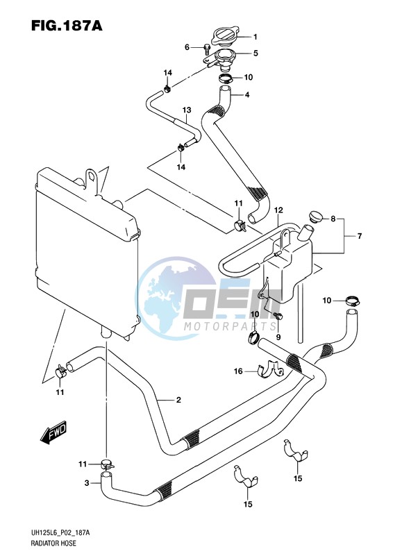 RADIATOR HOSE