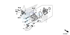 SH125ASG SH125D UK - (E) drawing WATER PUMP