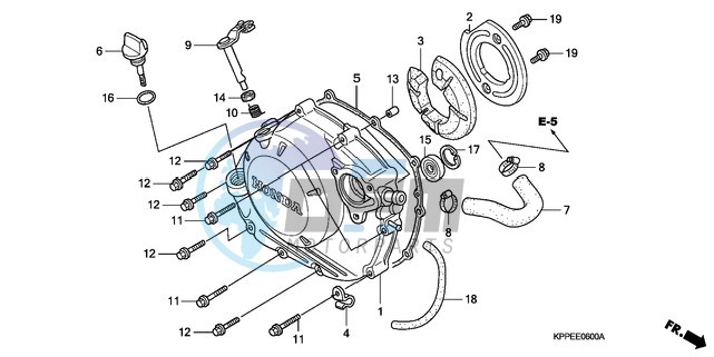 RIGHT CRANKCASE COVER