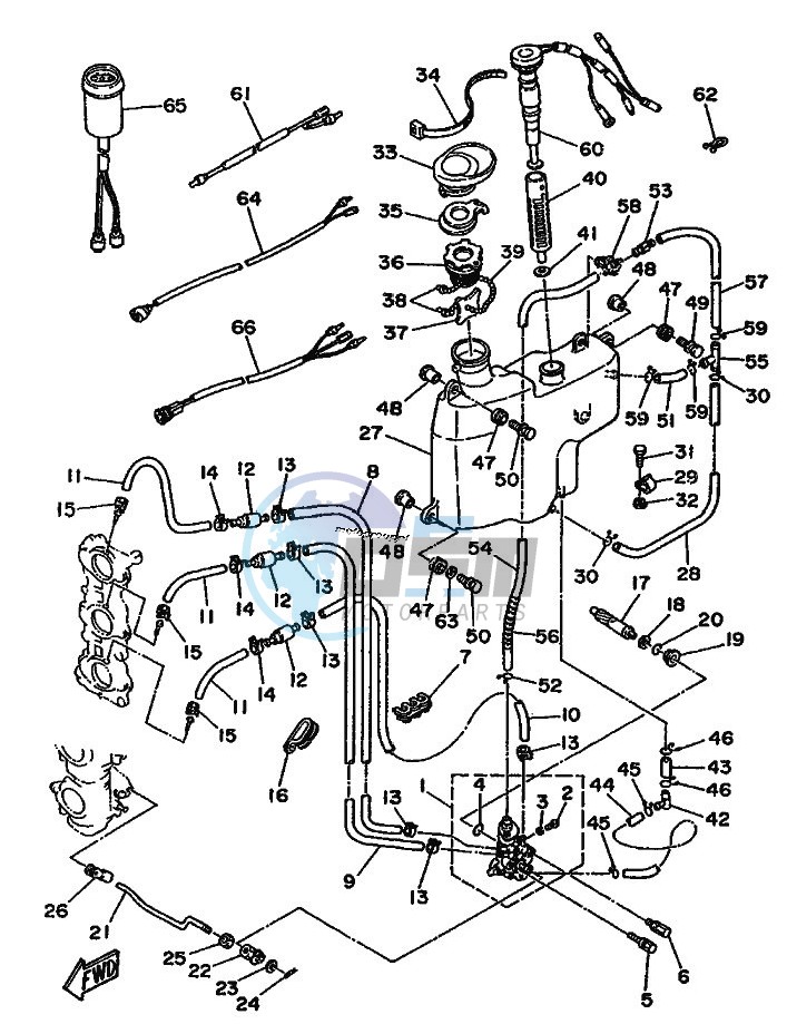 OIL-PUMP