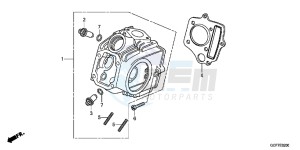 CRF70FC drawing CYLINDER HEAD