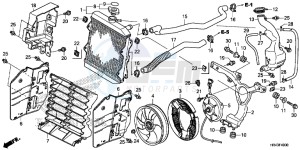 TRX500FE2E TRX500FE2 Europe Direct - (ED) drawing RADIATOR