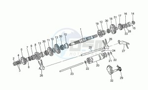 Daytona 1000 drawing Driven shaft