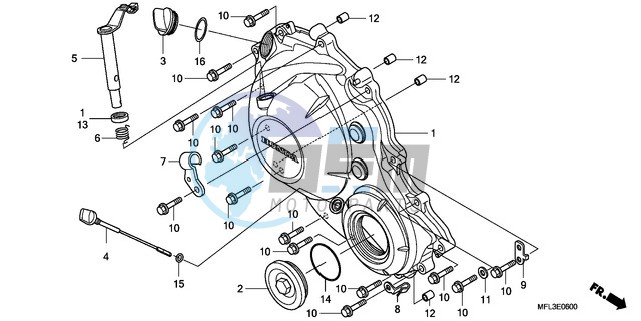 RIGHT CRANKCASE COVER