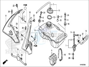 CRF110FH Europe Direct - (ED) drawing FUEL TANK